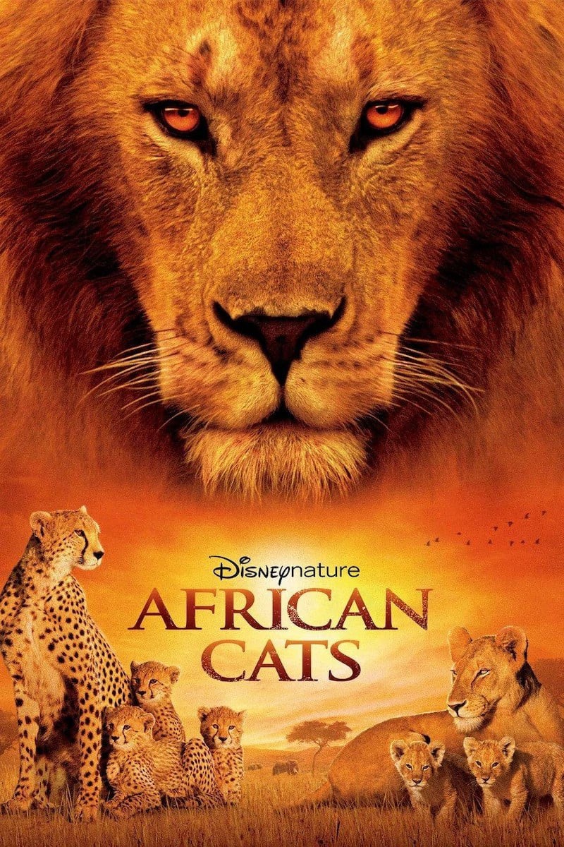 Phim African Cats