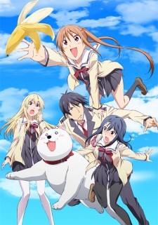 Phim Aho Girl