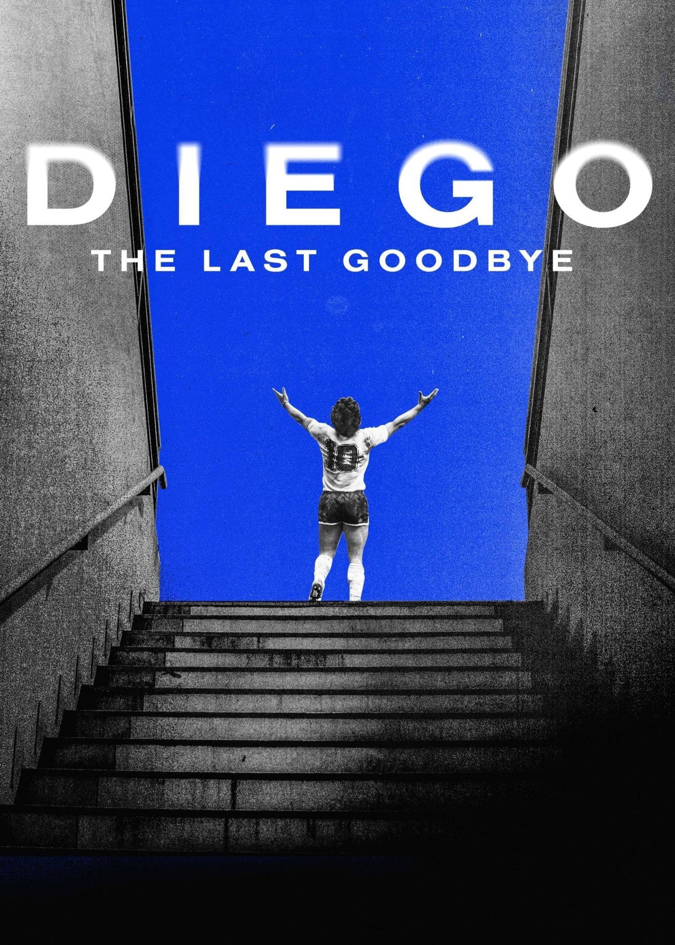 Phim Diego: The Last Goodbye