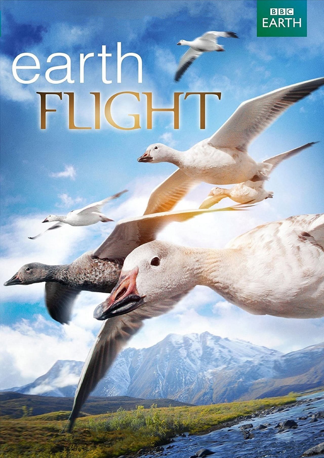 Phim Earthflight