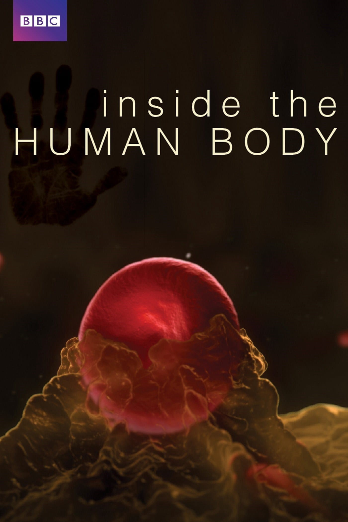 Phim Inside the Human Body