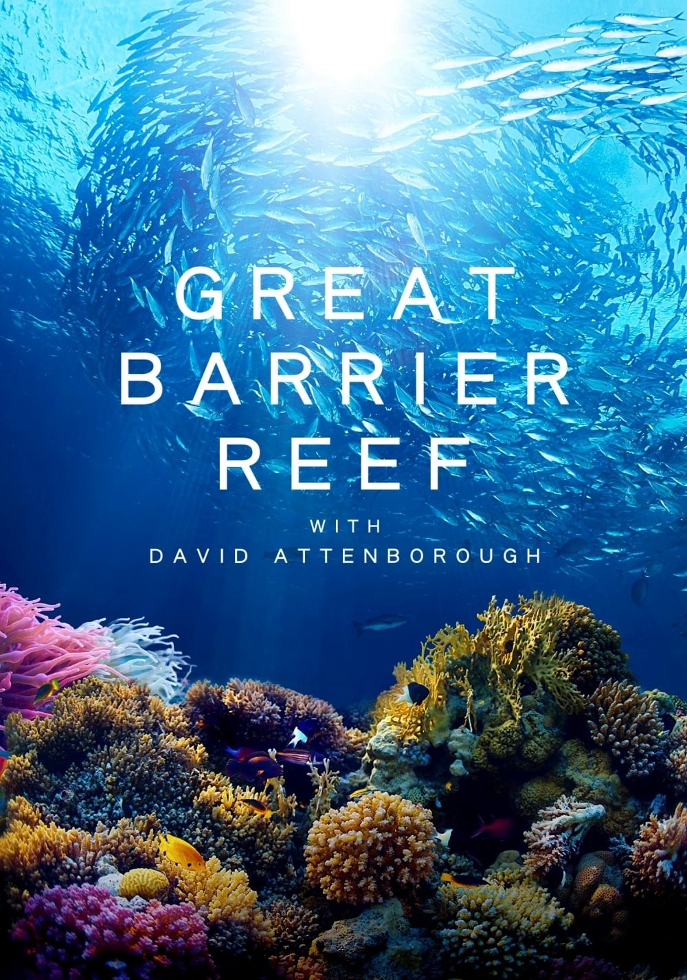 Phim Khám Phá Rạn San Hô Great Barrier cùng David Attenborough