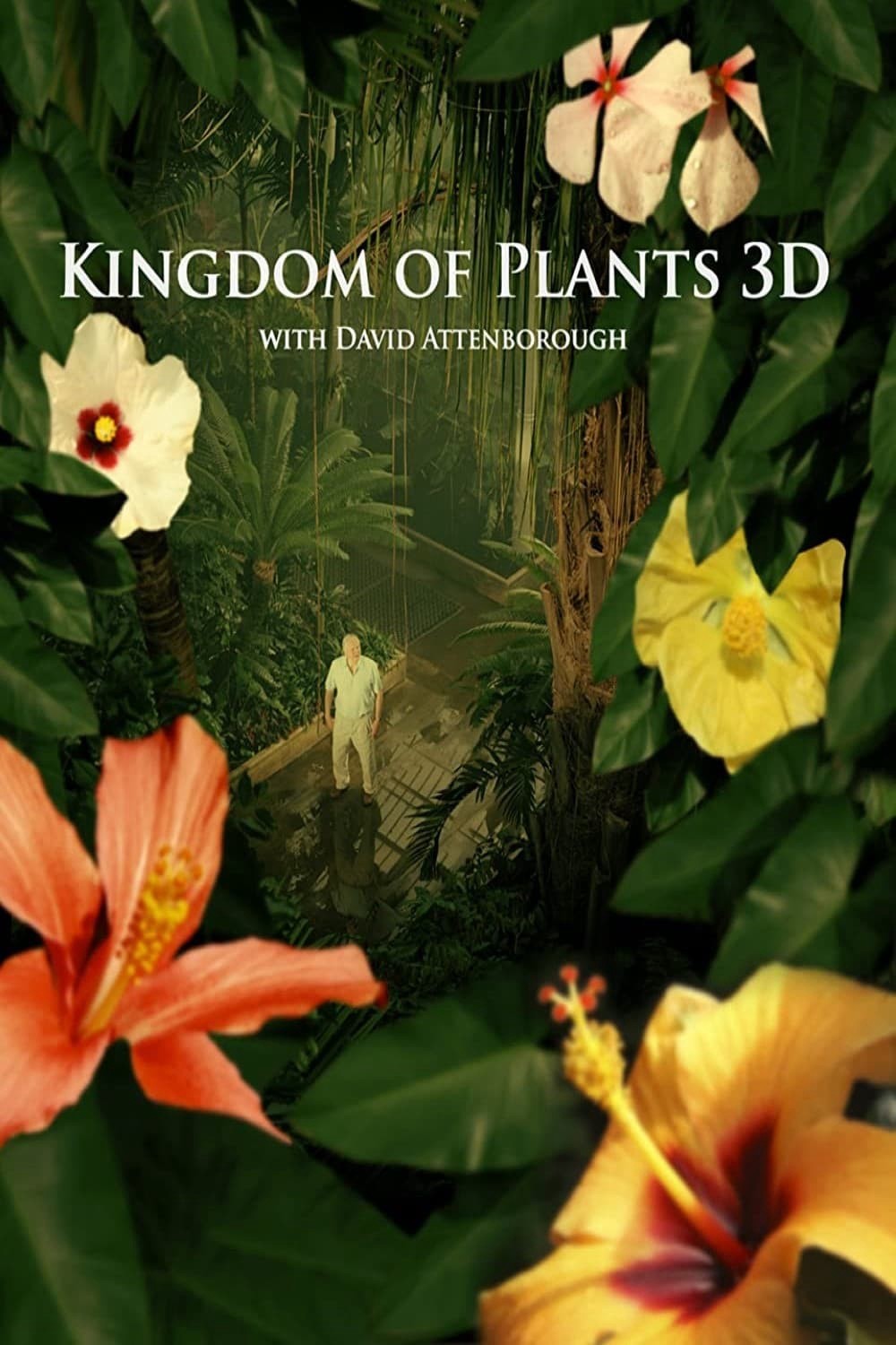 Phim Kingdom of Plants