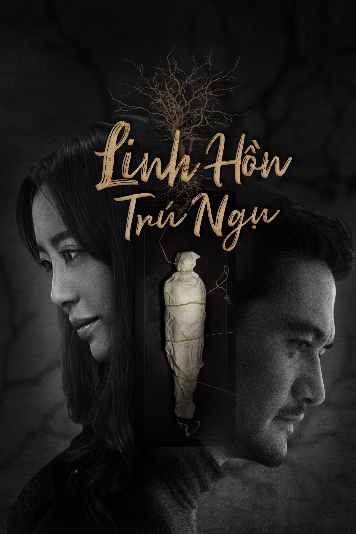 Phim Linh Hồn Trú Ngụ