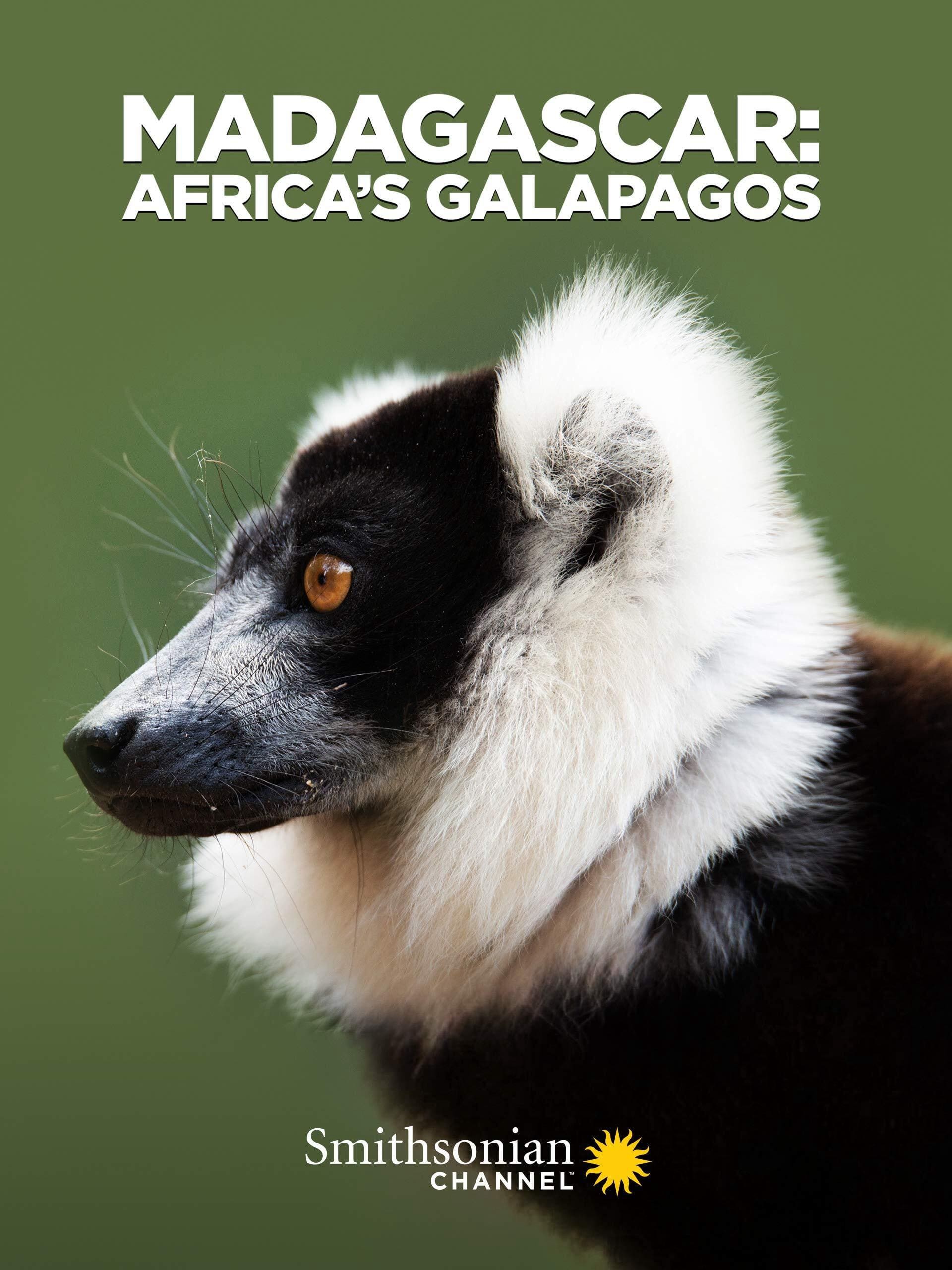 Phim Madagascar: Africa's Galapagos