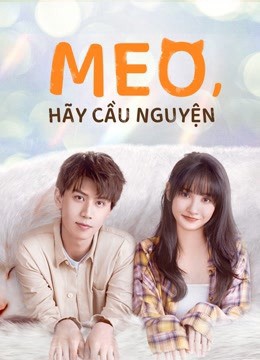 Phim Meo, Hãy Cầu Nguyện