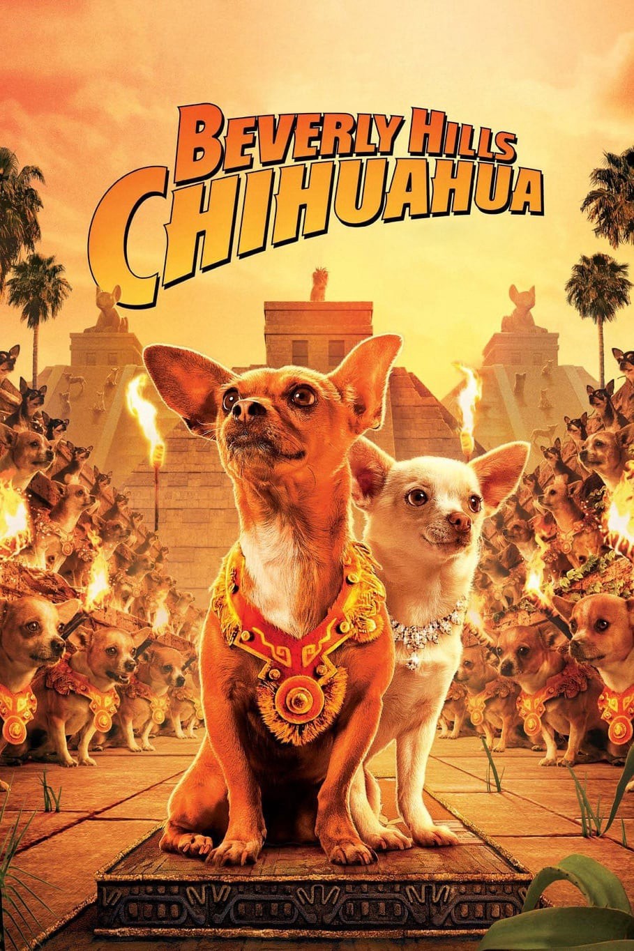 Phim Những Chú Chó Chihuahua