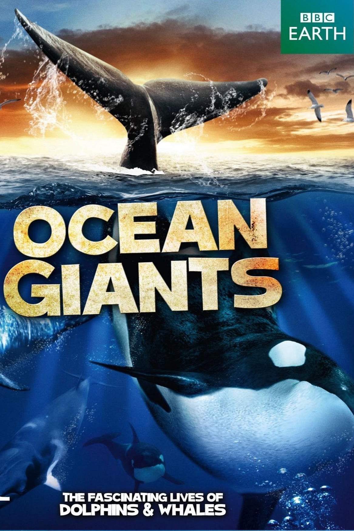 Phim Ocean Giants