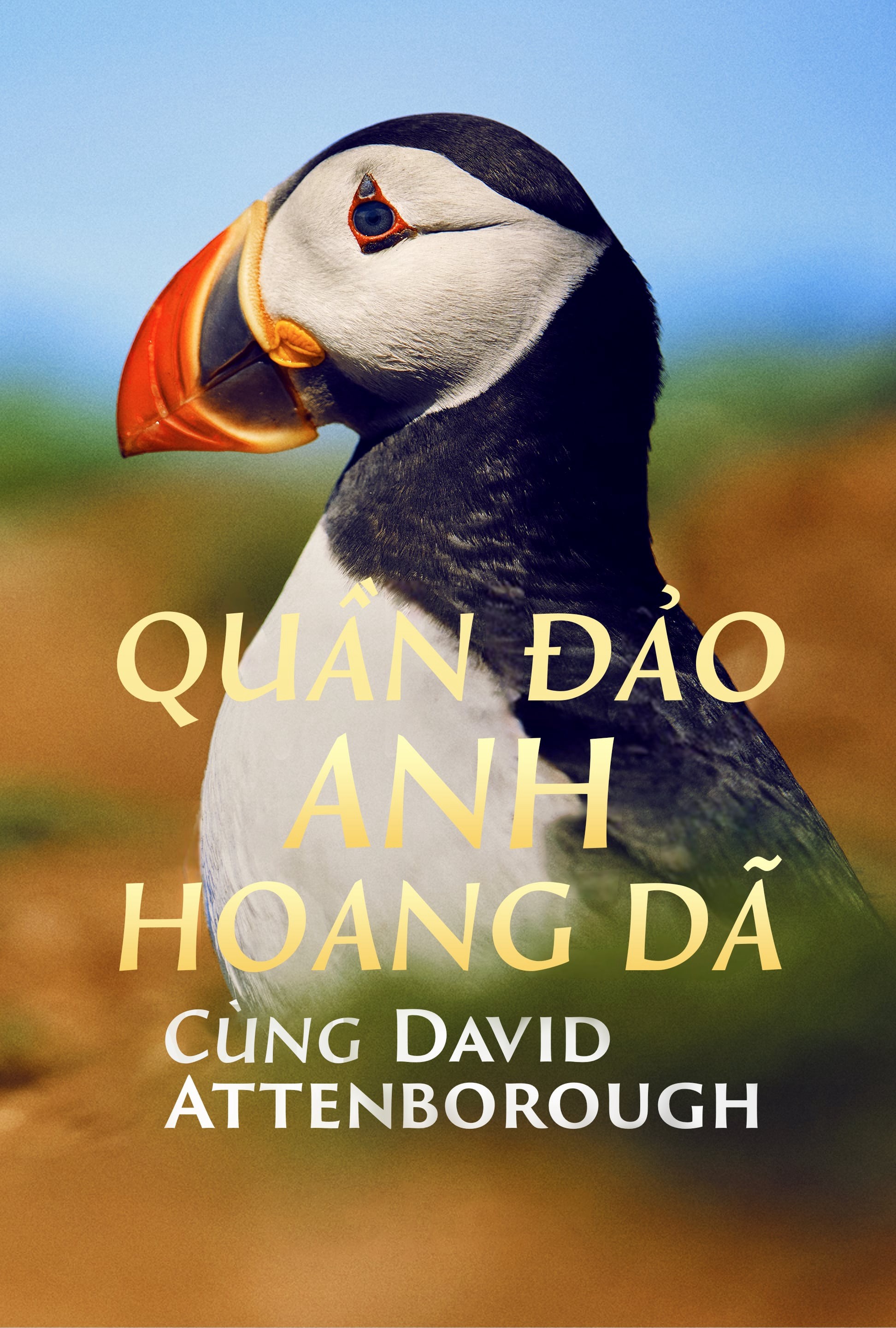 Phim Quần Đảo Anh Hoang Dã