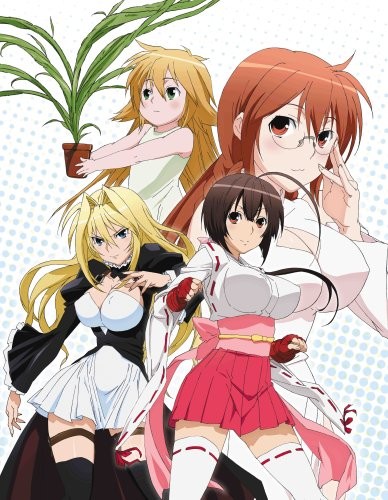 Phim Sekirei: Hajimete no Otsukai