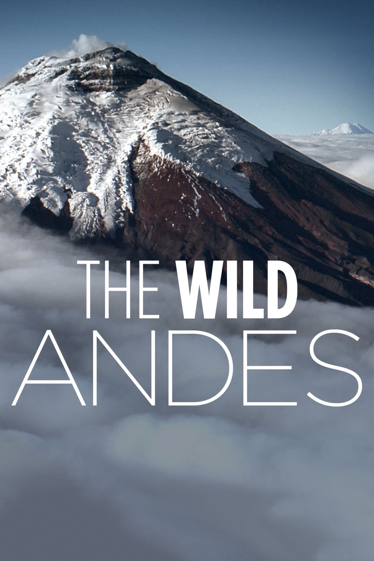 Phim The Wild Andes