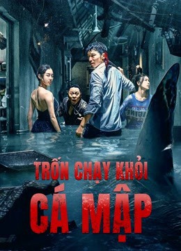 Phim Trốn Chạy Khỏi Cá Mập