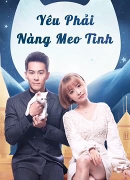 Phim Yêu Phải Nàng Meo Tinh